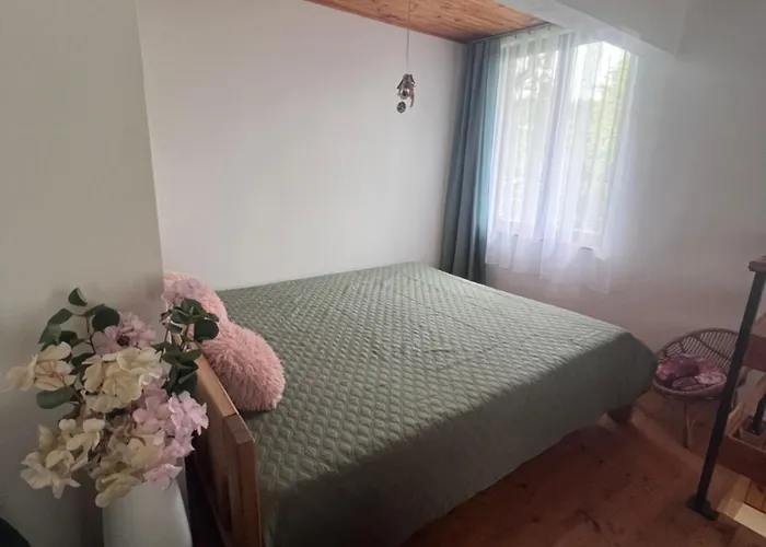 Roda S Vnitrni Saunou Feriehus